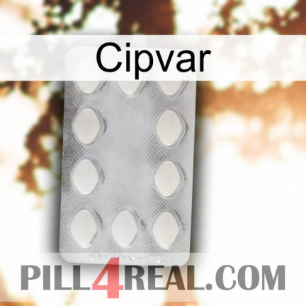 Cipvar 16